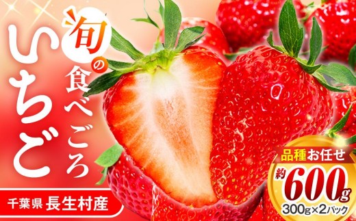平パックセット